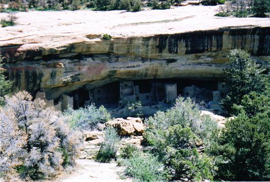 [The Mesa Verde Cliff Dwellings from a distance.]